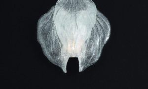 Art.9450