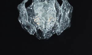 Art.9701